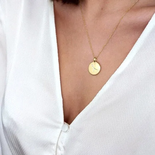 ARIES Zodiac Sign Coin Necklace, gold-plated