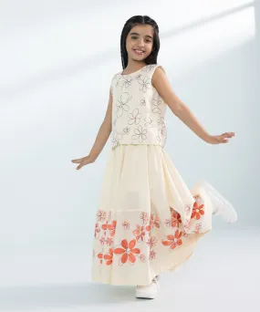 Embroidered Top with Skirt