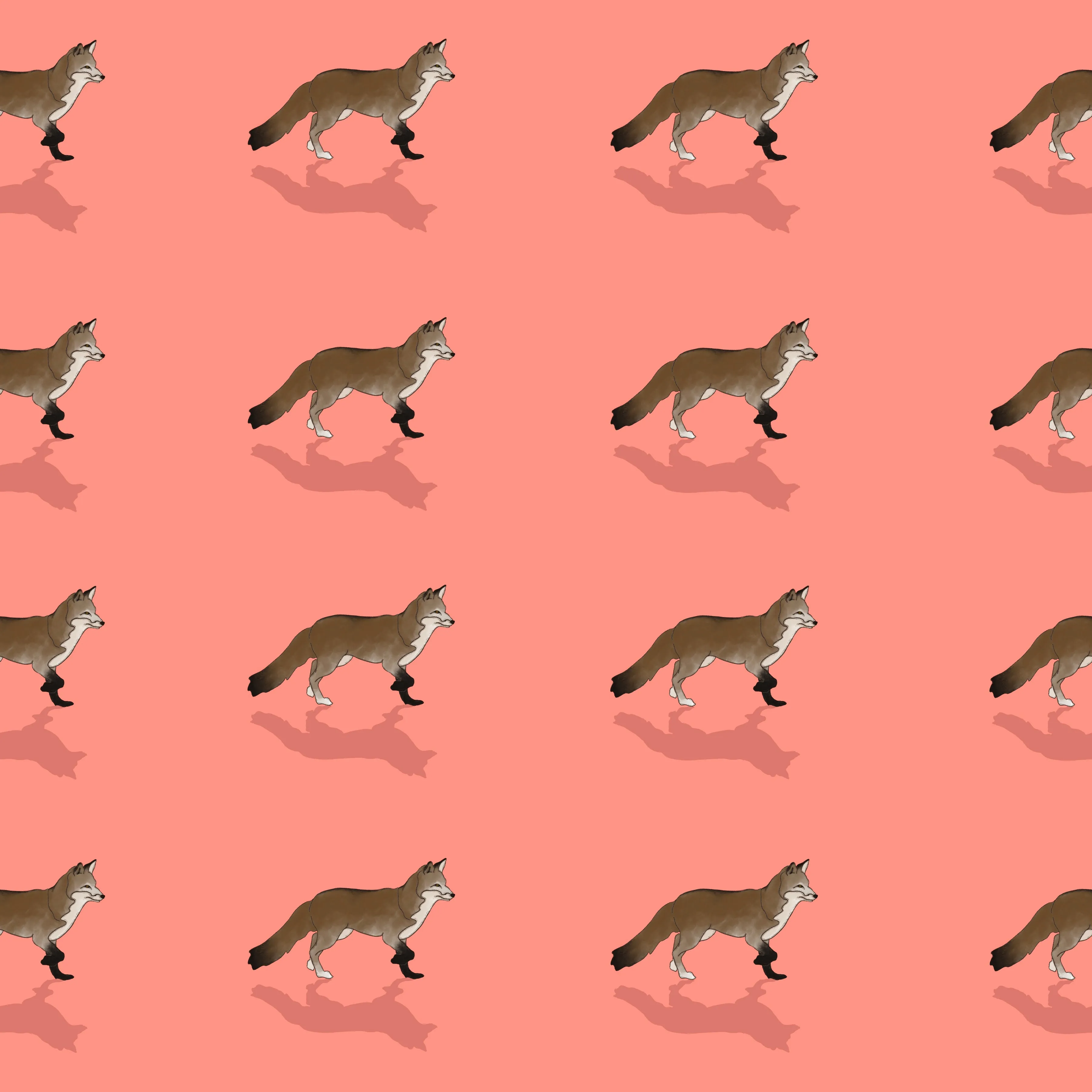 Foxy - Apricot Skies Collection