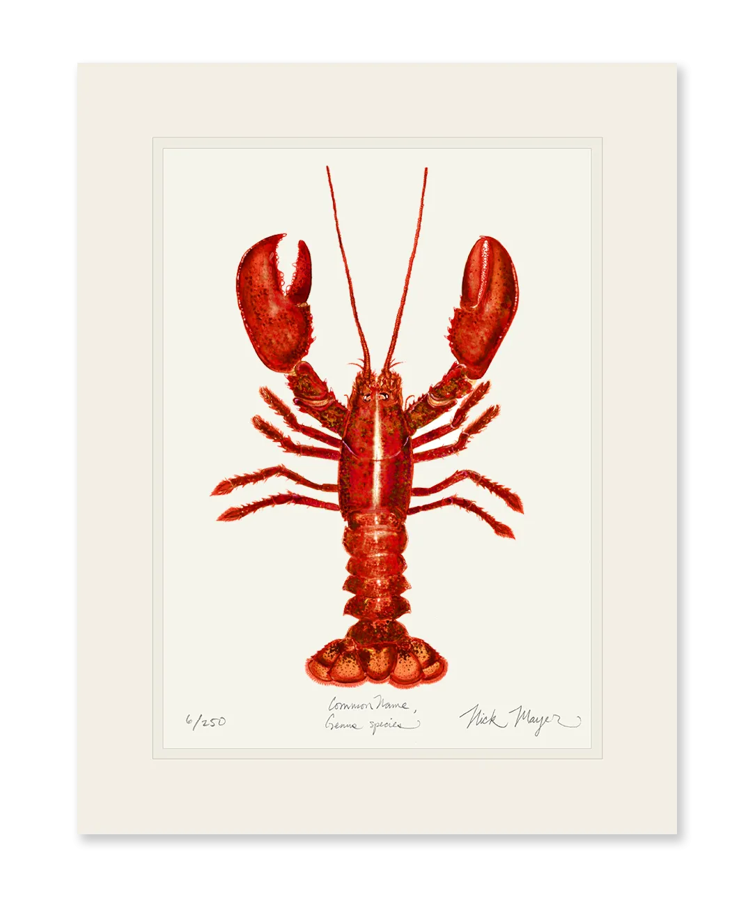 Red Lobster Print