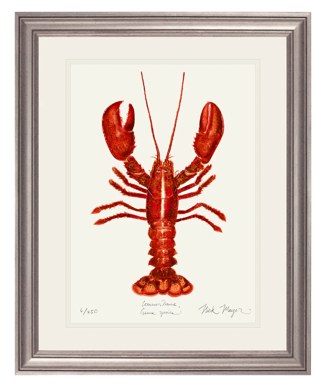 Red Lobster Print