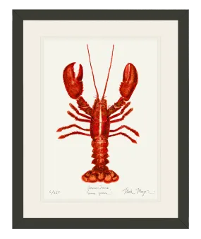 Red Lobster Print