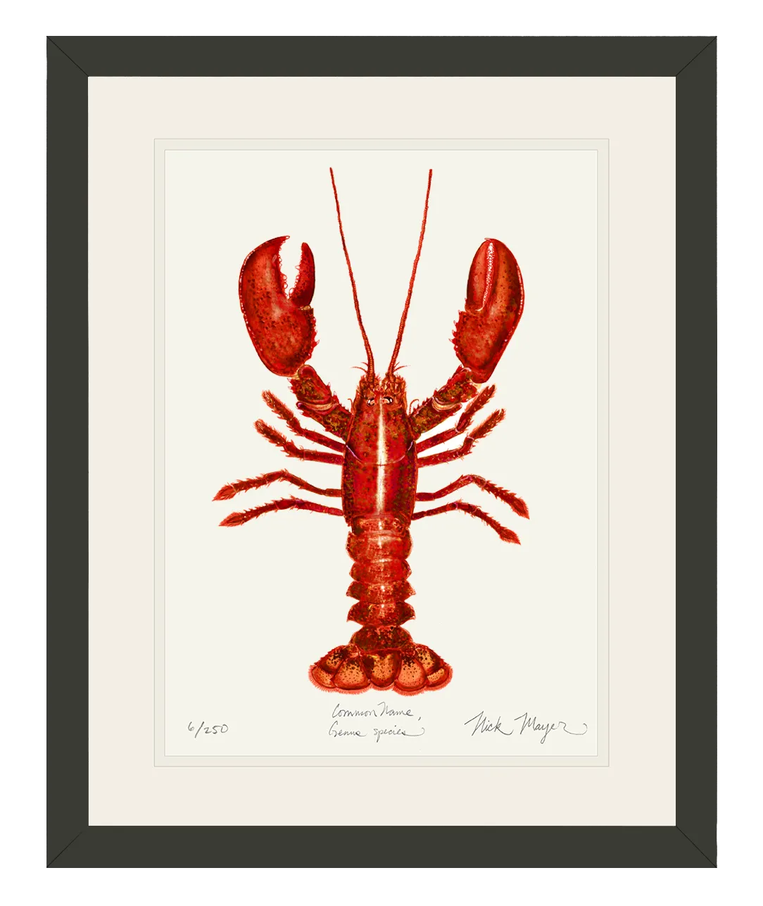 Red Lobster Print