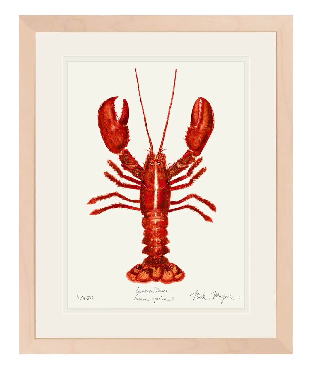 Red Lobster Print