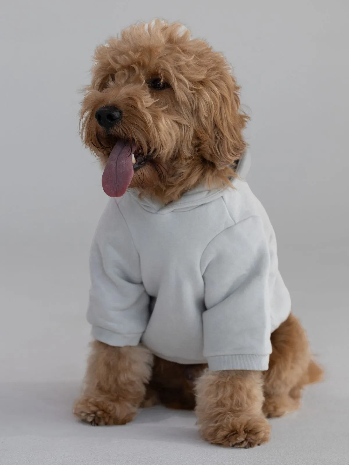 The Standard Paw Hoodie