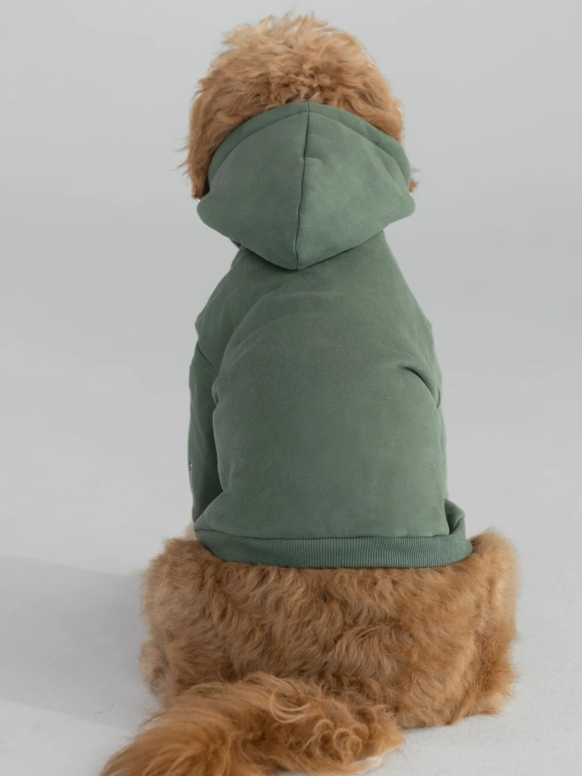 The Standard Paw Hoodie