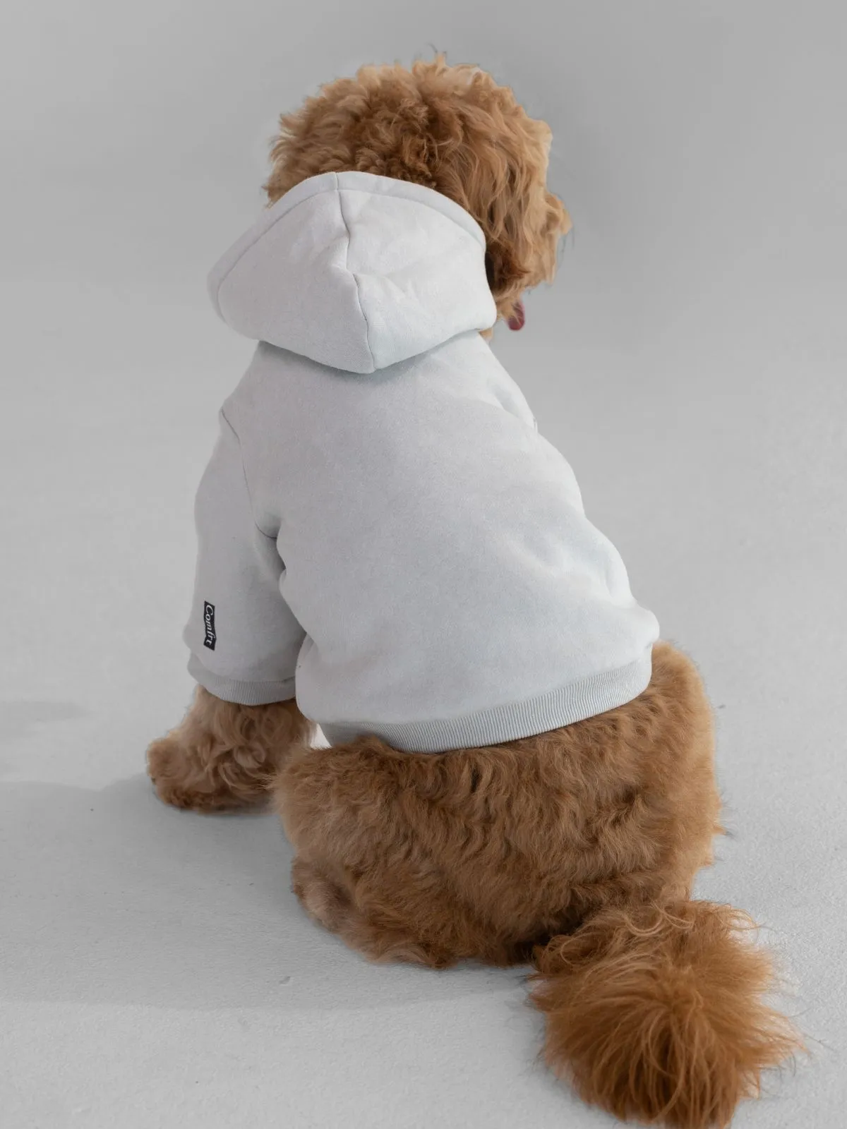 The Standard Paw Hoodie